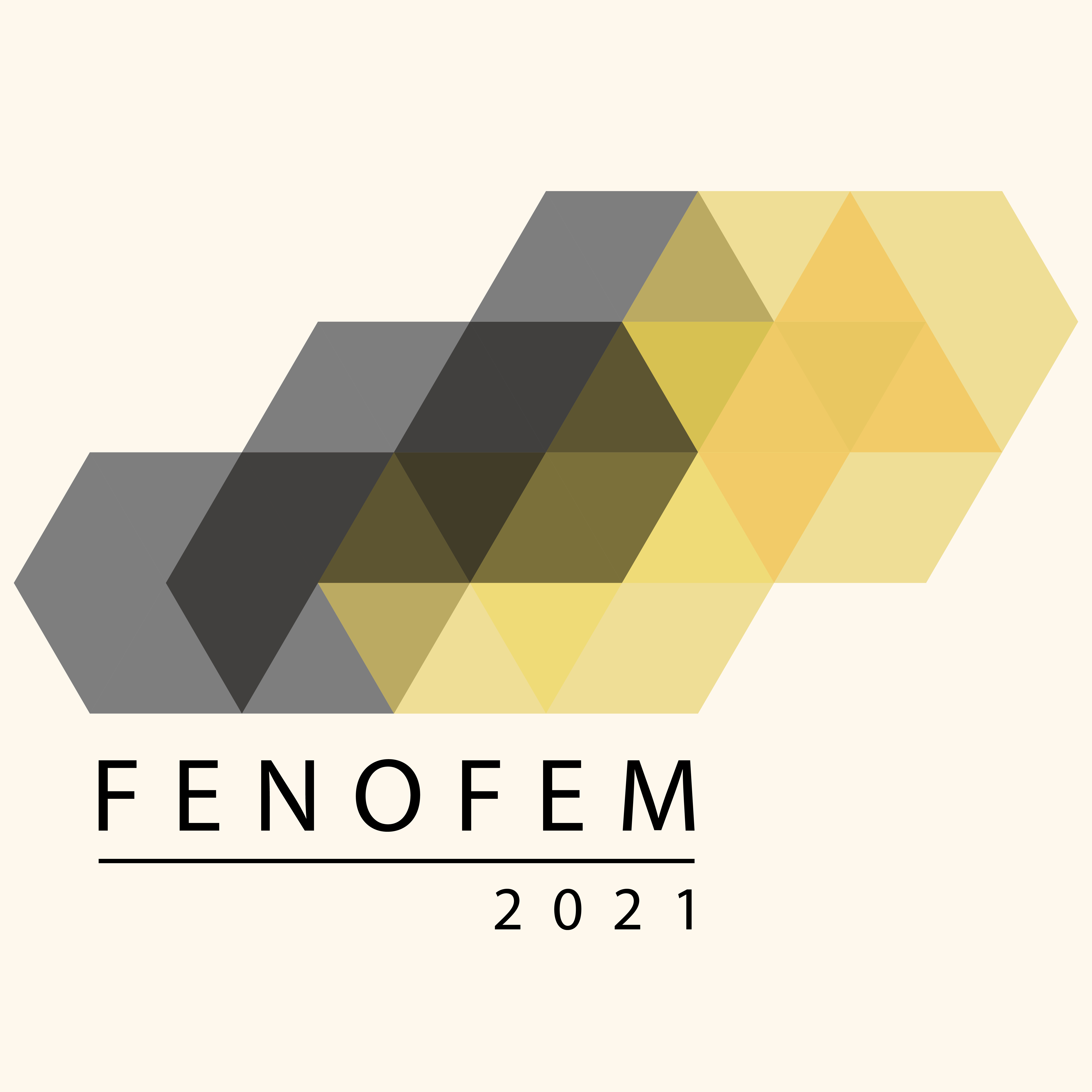 Uluslararası 3 Nisan FENOFEM Sanayi Sanal Fuarı 