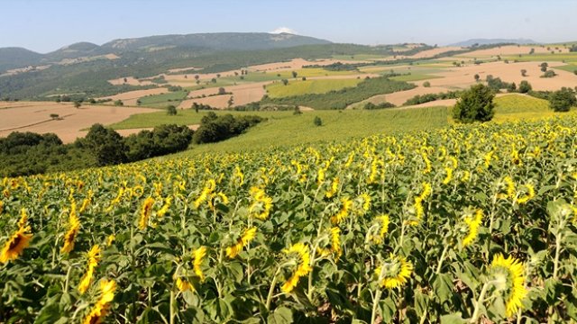 Tema: Tarım Havzaları Linyit Madeni Olacak
