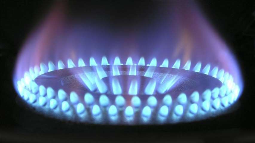 'Gazda Ciddi Pazarlık Edip, Fiyatları Düşürebiliriz'