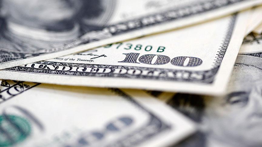 Dolar/TL Tarihi Zirvesini Gördü