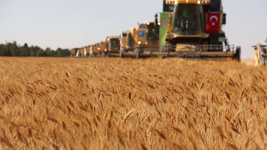 100 Bin Liralık Tarla Yıllık 100 Liraya Kiralanabilecek