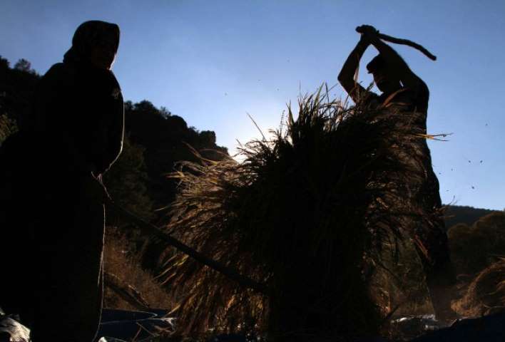 Güneydoğu Çiftçisine Enerji Müjdesi