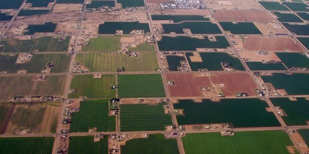 Tarım Arazilerinde Şufa (Ön Alım) Bilinmiyor!