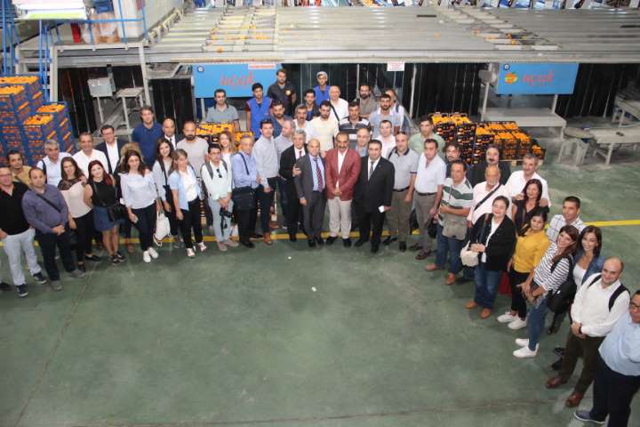 Yaş Meyve Sebze İhracatı 2018'de 2.4 Milyar Dolar Kazandırdı