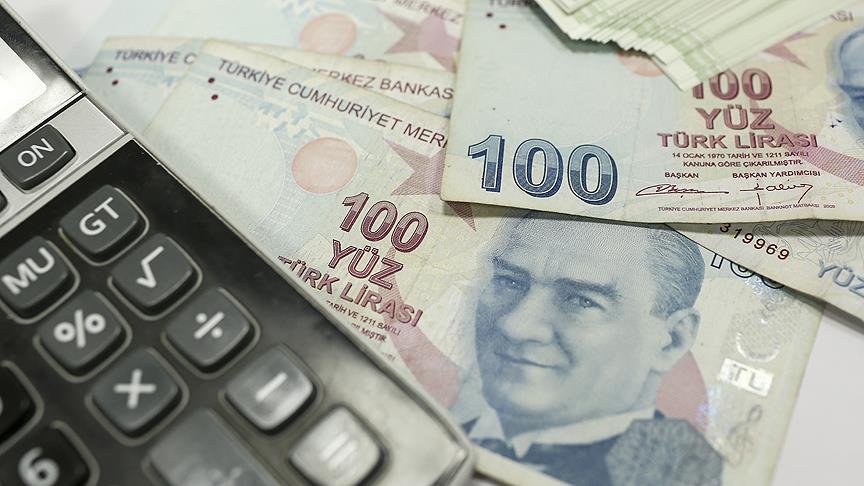 Varlık Fonu'nun Yönetimi Belirlendi