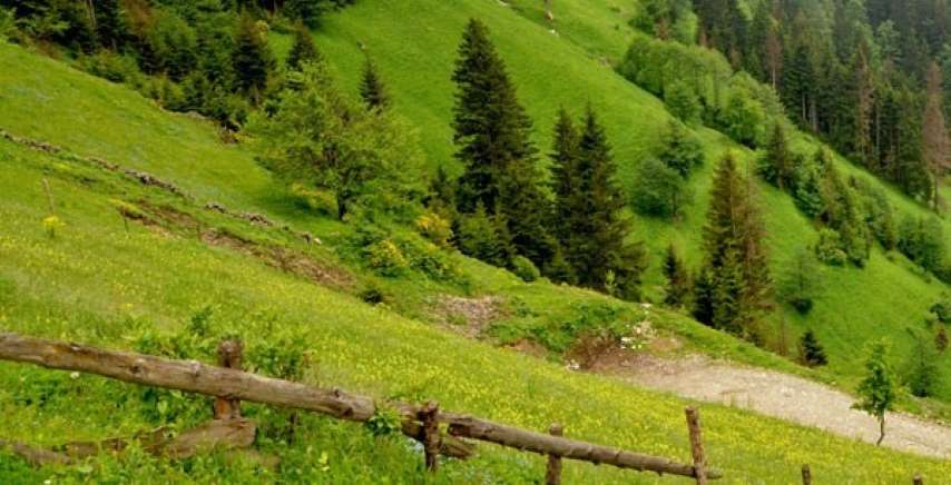 Beykoz 2B Rayiçlerini İçin Başvurdu