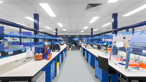 Zemin Kaplama Çözümleri İçin; Forbo Sphera SD | EC