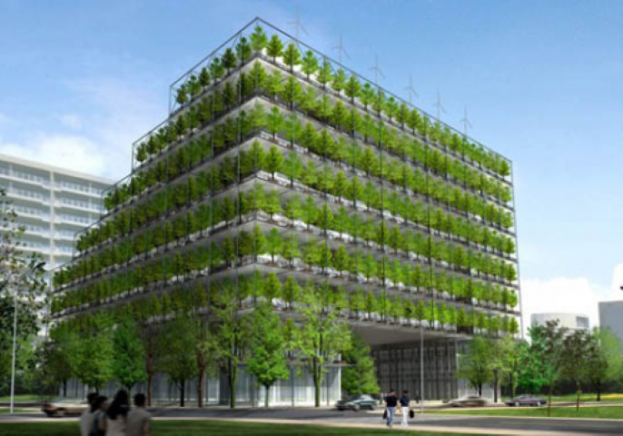 Sel İçin Çözüm, Yeşil Dönüşüm