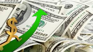 Dolar Yeni Tarihi Rekor Düzeyde