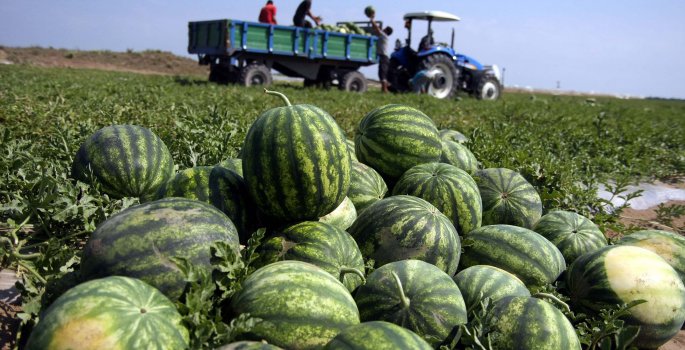'İran'dan Karpuz İstemiyoruz'