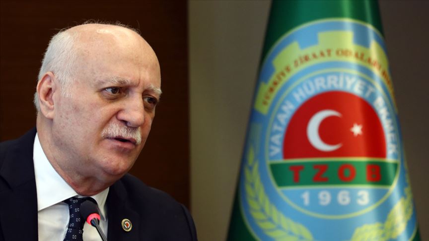 'Buğdayda Rekolte Beklentimiz 20 Milyon Ton'