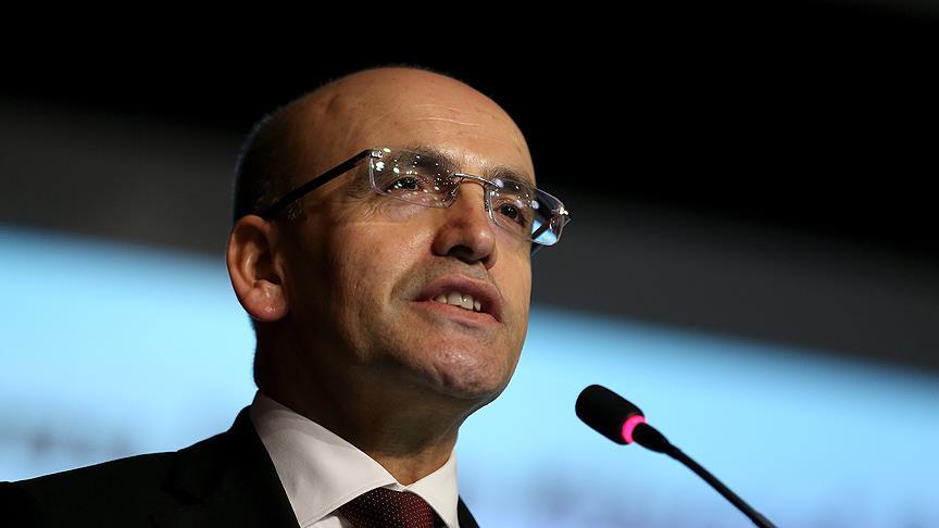 Başbakan Yardımcısı Şimşek: Panik Yapmaya Gerek Yok