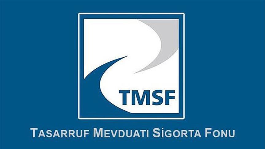 TMSF İki Şirketi Satışa Çıkardı