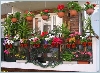 Balkonunuzu Yeşillendirin!