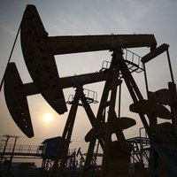 Petrol 4 Günden Bu Yana İlk Kez Yükseliyor