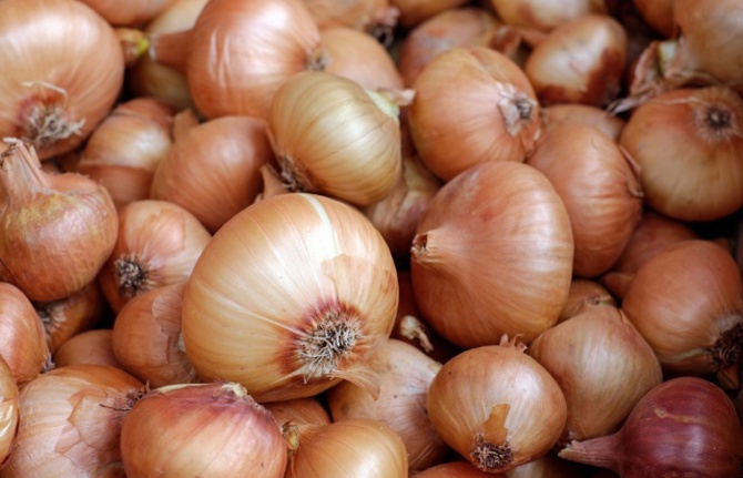 Soğanda gümrük vergisi sıfırlandı