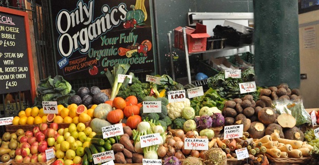 Organik Ve Zeytinyağı Fuarları Gün Sayıyor