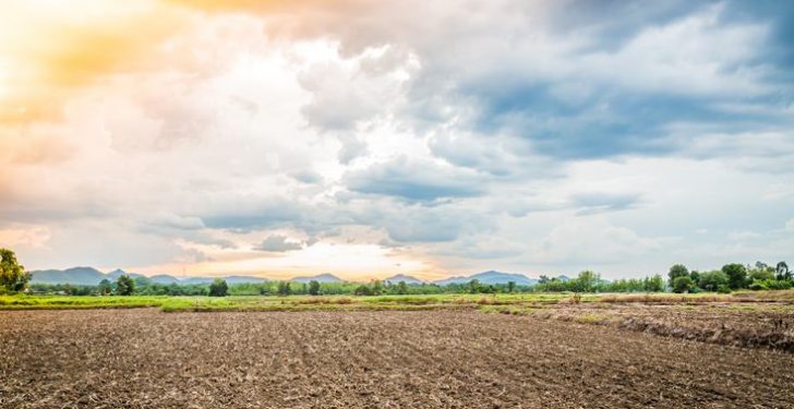Tarlaya Yatırım Yapan Kazanıyor