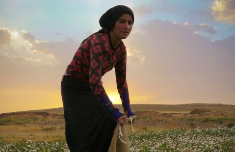 Güneydoğu Kadını Sanayi İçin "Umutlandı"