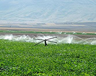 Arnavutluk Tarımına Türkiye'den Organik Destek