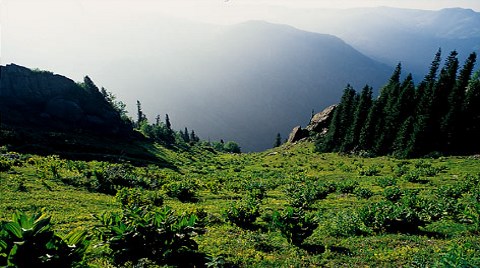 ÇED'den Kaçmak İçin Proje Alanını Küçük Gösterdiler