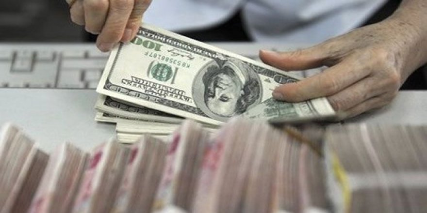 Reel Efektif Döviz Kuru Endeksi Şubatta Geriledi