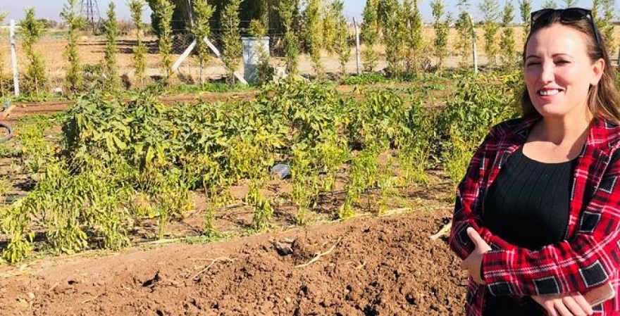 Mevcut hobi bahçelerine ilişkin belirsizlik devam ediyor