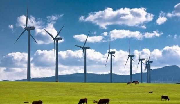 Umman'da İlk Rüzgar Çiftliği Kuruldu